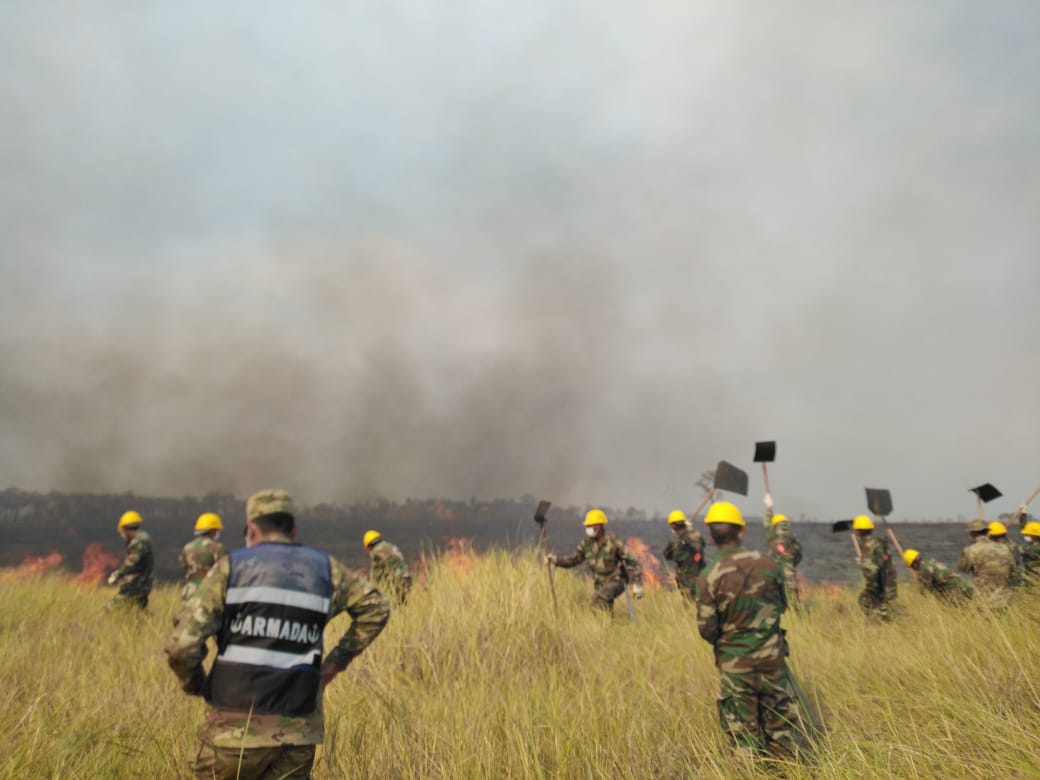 Indencios en el bosque seco chiquitano