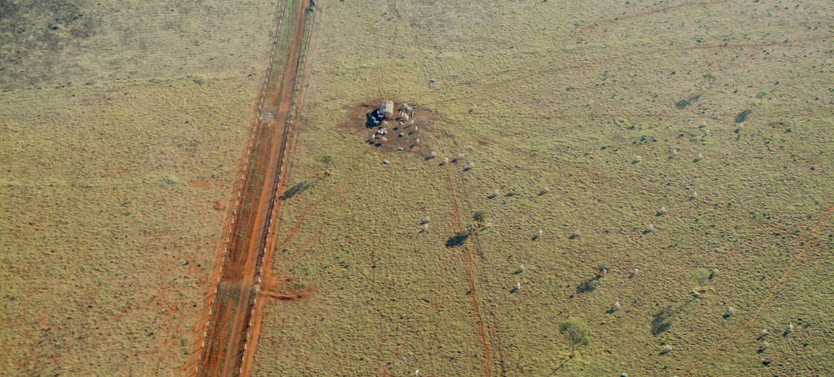 Deforestación en Brasil. Foto: Riccardo Pravettoni, PNUD